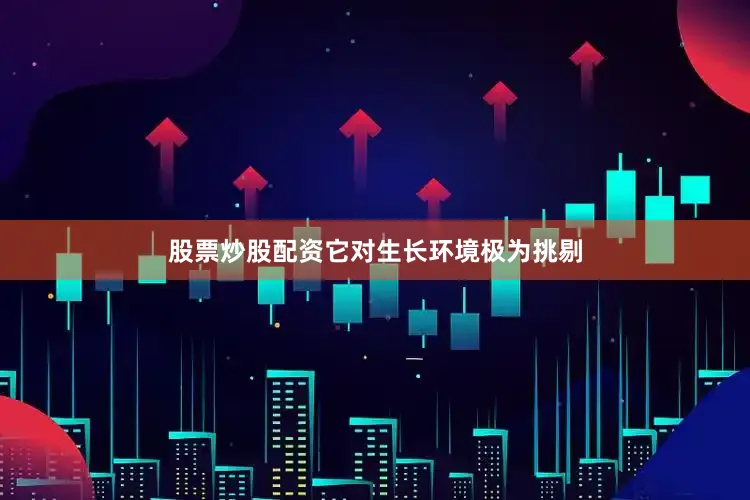 股票炒股配资它对生长环境极为挑剔