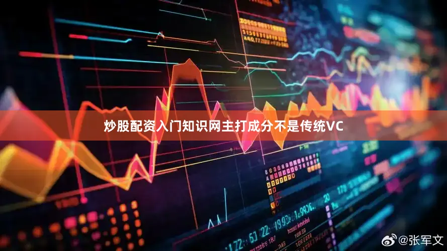 炒股配资入门知识网主打成分不是传统VC