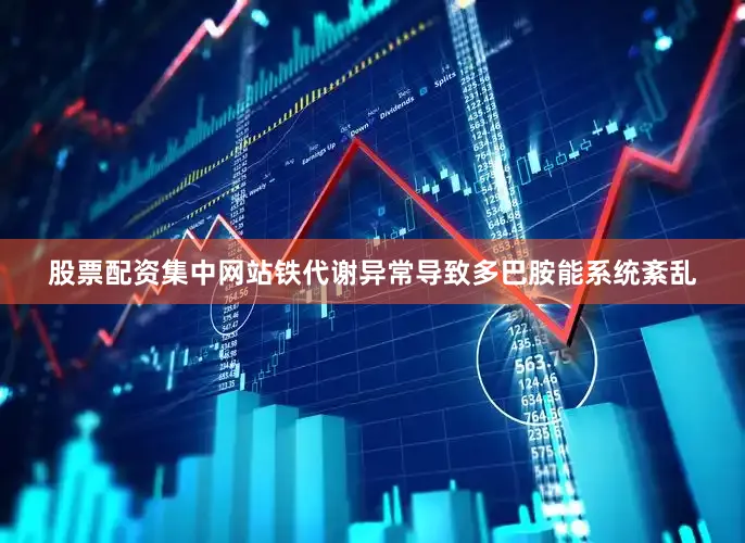 股票配资集中网站铁代谢异常导致多巴胺能系统紊乱