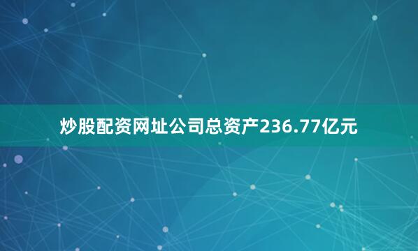 炒股配资网址公司总资产236.77亿元