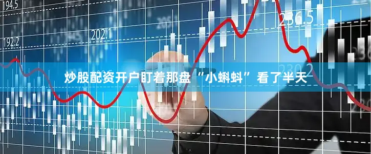 炒股配资开户盯着那盘 “小蝌蚪” 看了半天